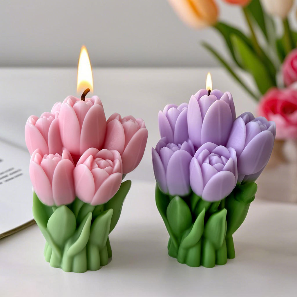 Valentine's Day Gift Tulip Bou - Candle Supplies Storage 评论和价格